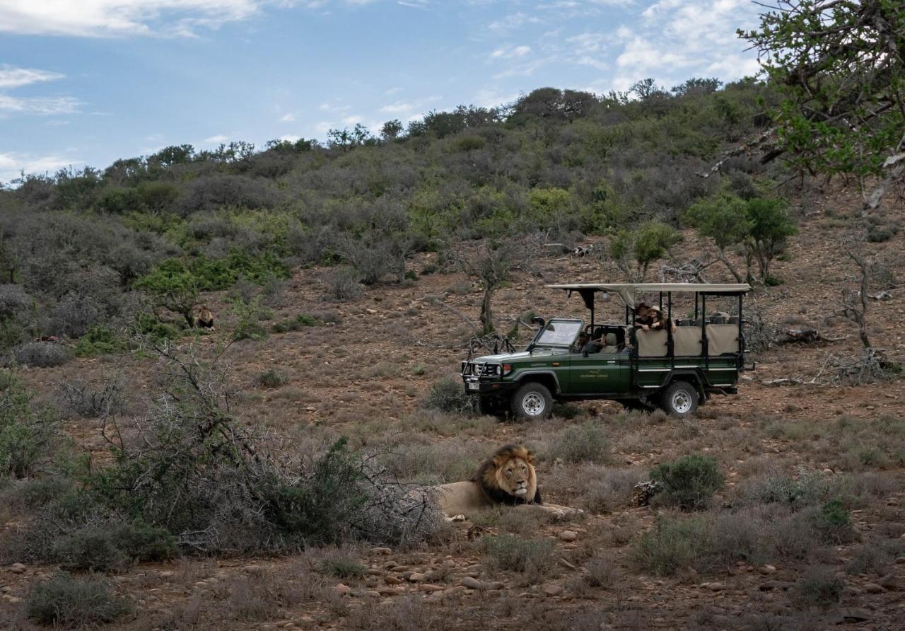 Kuzuko Lodge Addo Extérieur photo