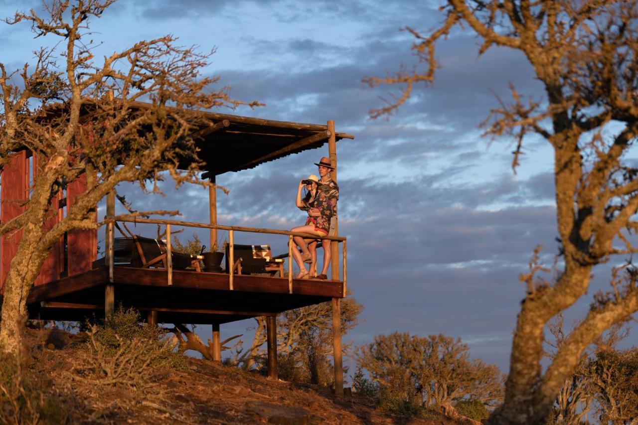 Kuzuko Lodge Addo Extérieur photo